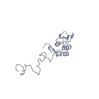 11646_7a5k_T6_v1-0
Structure of the human mitoribosome in the post translocation state bound to mtEF-G1