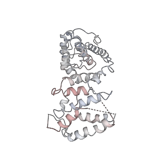11646_7a5k_V6_v1-0
Structure of the human mitoribosome in the post translocation state bound to mtEF-G1