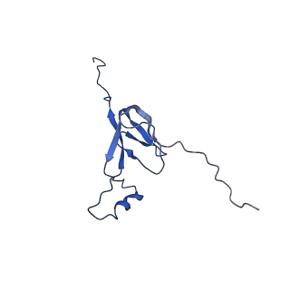 11646_7a5k_W3_v1-0
Structure of the human mitoribosome in the post translocation state bound to mtEF-G1