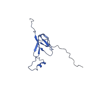 11646_7a5k_W3_v2-0
Structure of the human mitoribosome in the post translocation state bound to mtEF-G1