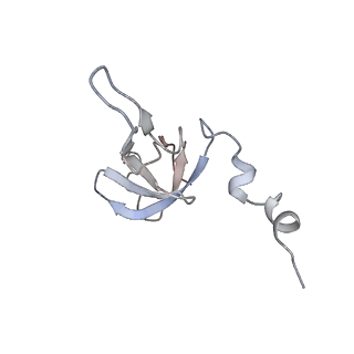 11646_7a5k_W6_v1-0
Structure of the human mitoribosome in the post translocation state bound to mtEF-G1