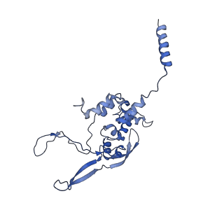11646_7a5k_X3_v1-0
Structure of the human mitoribosome in the post translocation state bound to mtEF-G1