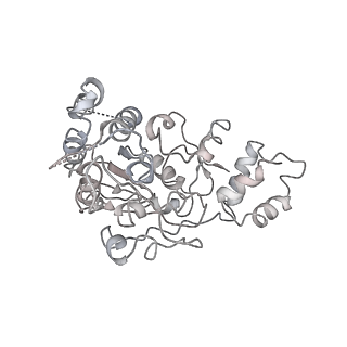 11646_7a5k_X6_v1-0
Structure of the human mitoribosome in the post translocation state bound to mtEF-G1