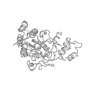11646_7a5k_X6_v2-0
Structure of the human mitoribosome in the post translocation state bound to mtEF-G1