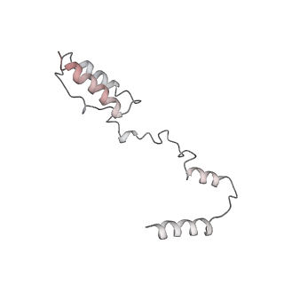 11646_7a5k_Y6_v1-0
Structure of the human mitoribosome in the post translocation state bound to mtEF-G1