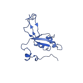 11646_7a5k_Z3_v1-0
Structure of the human mitoribosome in the post translocation state bound to mtEF-G1