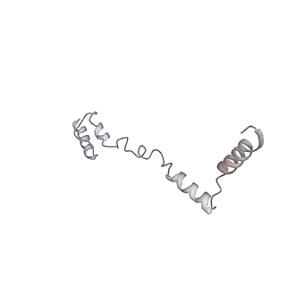 11646_7a5k_Z6_v1-0
Structure of the human mitoribosome in the post translocation state bound to mtEF-G1