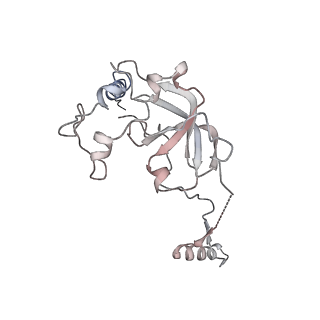 11646_7a5k_a6_v1-0
Structure of the human mitoribosome in the post translocation state bound to mtEF-G1
