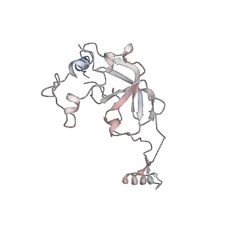 11646_7a5k_a6_v2-0
Structure of the human mitoribosome in the post translocation state bound to mtEF-G1
