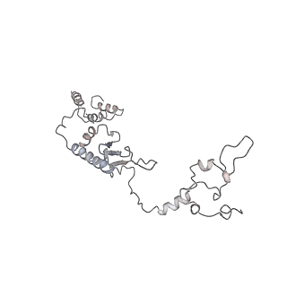 11646_7a5k_b6_v1-0
Structure of the human mitoribosome in the post translocation state bound to mtEF-G1