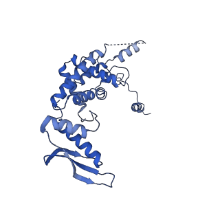 11646_7a5k_c3_v1-0
Structure of the human mitoribosome in the post translocation state bound to mtEF-G1