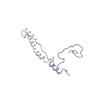 11646_7a5k_c6_v1-0
Structure of the human mitoribosome in the post translocation state bound to mtEF-G1
