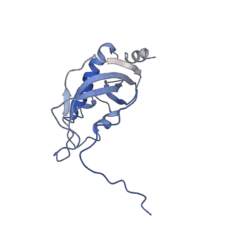 11646_7a5k_d3_v1-0
Structure of the human mitoribosome in the post translocation state bound to mtEF-G1