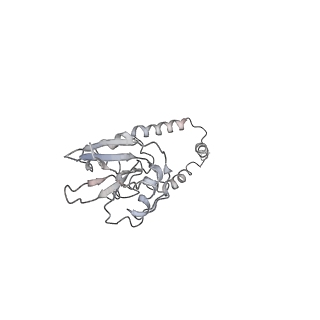 11646_7a5k_e3_v1-0
Structure of the human mitoribosome in the post translocation state bound to mtEF-G1