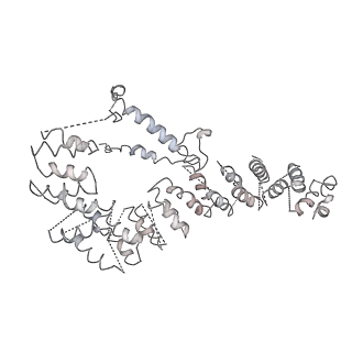 11646_7a5k_e6_v1-0
Structure of the human mitoribosome in the post translocation state bound to mtEF-G1