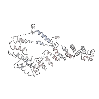 11646_7a5k_e6_v2-0
Structure of the human mitoribosome in the post translocation state bound to mtEF-G1
