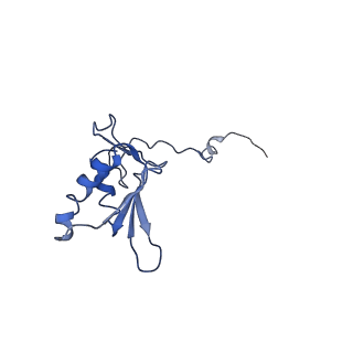 11646_7a5k_g3_v2-0
Structure of the human mitoribosome in the post translocation state bound to mtEF-G1