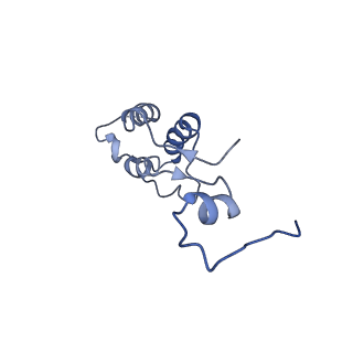 11646_7a5k_h3_v1-0
Structure of the human mitoribosome in the post translocation state bound to mtEF-G1