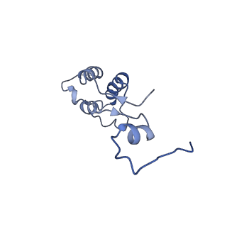 11646_7a5k_h3_v2-0
Structure of the human mitoribosome in the post translocation state bound to mtEF-G1