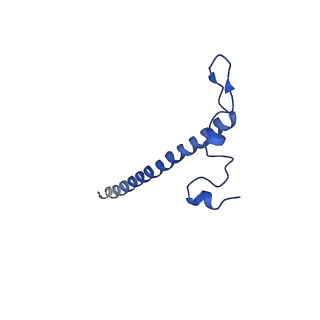 11646_7a5k_j3_v2-0
Structure of the human mitoribosome in the post translocation state bound to mtEF-G1