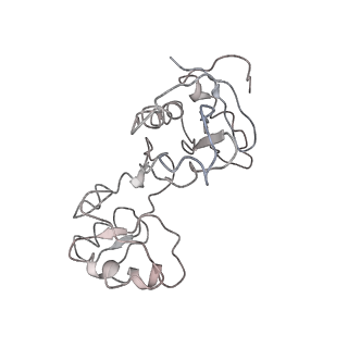 11646_7a5k_n_v1-0
Structure of the human mitoribosome in the post translocation state bound to mtEF-G1