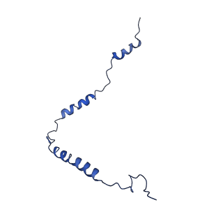 11646_7a5k_o3_v1-0
Structure of the human mitoribosome in the post translocation state bound to mtEF-G1