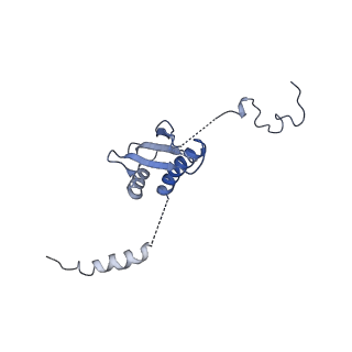 11646_7a5k_p3_v1-0
Structure of the human mitoribosome in the post translocation state bound to mtEF-G1