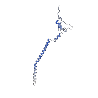 11646_7a5k_q3_v1-0
Structure of the human mitoribosome in the post translocation state bound to mtEF-G1