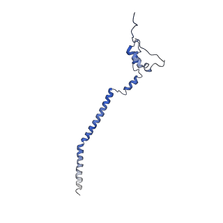 11646_7a5k_q3_v2-0
Structure of the human mitoribosome in the post translocation state bound to mtEF-G1