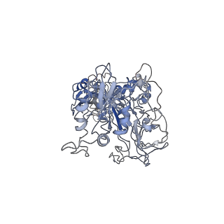 11646_7a5k_r1_v1-0
Structure of the human mitoribosome in the post translocation state bound to mtEF-G1