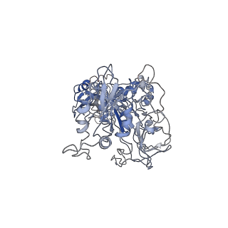 11646_7a5k_r1_v2-0
Structure of the human mitoribosome in the post translocation state bound to mtEF-G1
