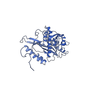 11646_7a5k_s3_v2-0
Structure of the human mitoribosome in the post translocation state bound to mtEF-G1