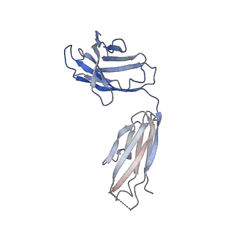 11648_7a5r_I_v1-1
Complex of SARS-CoV-2 spike and CR3022 Fab (Non-Uniform Refinement)
