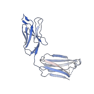11648_7a5r_M_v1-1
Complex of SARS-CoV-2 spike and CR3022 Fab (Non-Uniform Refinement)