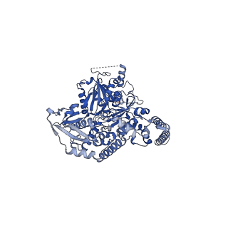 15163_8a5a_U_v1-1
Structure of Arp4-Ies4-N-actin-Arp8-Ino80HSA subcomplex (A-module) of INO80