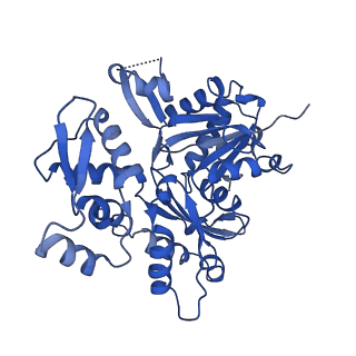 15163_8a5a_V_v2-0
Structure of Arp4-Ies4-N-actin-Arp8-Ino80HSA subcomplex (A-module) of INO80