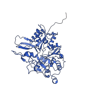 15163_8a5a_W_v1-1
Structure of Arp4-Ies4-N-actin-Arp8-Ino80HSA subcomplex (A-module) of INO80