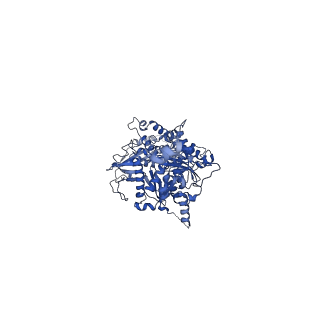 15165_8a5d_U_v1-0
Structure of Arp4-Ies4-N-actin-Arp8-Ino80HSA subcomplex (A-module) of Chaetomium thermophilum INO80