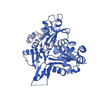 15165_8a5d_V_v1-0
Structure of Arp4-Ies4-N-actin-Arp8-Ino80HSA subcomplex (A-module) of Chaetomium thermophilum INO80