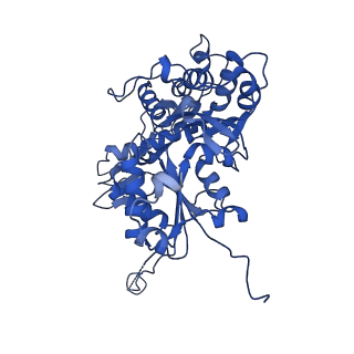 15165_8a5d_W_v1-0
Structure of Arp4-Ies4-N-actin-Arp8-Ino80HSA subcomplex (A-module) of Chaetomium thermophilum INO80