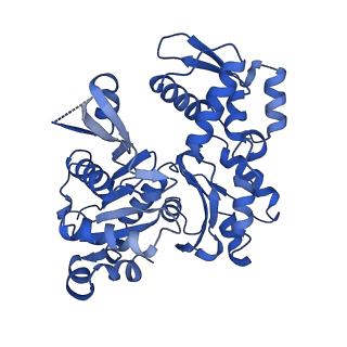 15179_8a5o_V_v1-1
Structure of Arp4-Ies4-N-actin-Arp8-Ino80HSA subcomplex (A-module) of S. cerevisiae INO80