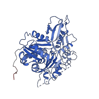 15179_8a5o_W_v1-1
Structure of Arp4-Ies4-N-actin-Arp8-Ino80HSA subcomplex (A-module) of S. cerevisiae INO80