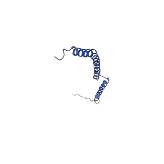 15180_8a5p_G_v1-1
Structure of Arp4-Ies4-N-actin-Arp8-Ino80HSA subcomplex (A-module) of Chaetomium thermophilum INO80 on curved DNA