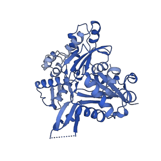 15180_8a5p_V_v1-1
Structure of Arp4-Ies4-N-actin-Arp8-Ino80HSA subcomplex (A-module) of Chaetomium thermophilum INO80 on curved DNA