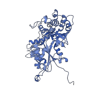 15180_8a5p_W_v1-1
Structure of Arp4-Ies4-N-actin-Arp8-Ino80HSA subcomplex (A-module) of Chaetomium thermophilum INO80 on curved DNA