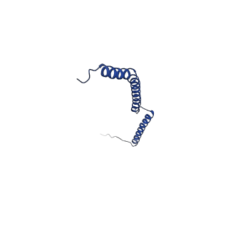 15184_8a5q_G_v1-1
Structure of Arp4-Ies4-N-actin-Arp8-Ino80HSA subcomplex (A-module) of Chaetomium thermophilum INO80 on straight DNA