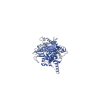 15184_8a5q_U_v1-1
Structure of Arp4-Ies4-N-actin-Arp8-Ino80HSA subcomplex (A-module) of Chaetomium thermophilum INO80 on straight DNA