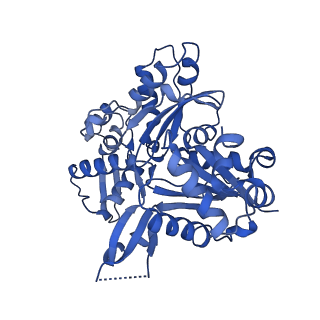 15184_8a5q_V_v1-1
Structure of Arp4-Ies4-N-actin-Arp8-Ino80HSA subcomplex (A-module) of Chaetomium thermophilum INO80 on straight DNA