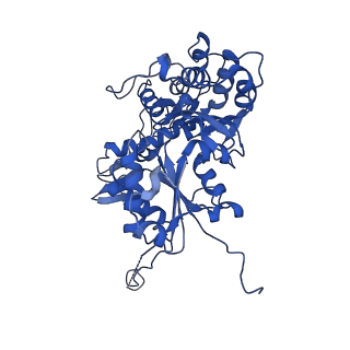 15184_8a5q_W_v1-1
Structure of Arp4-Ies4-N-actin-Arp8-Ino80HSA subcomplex (A-module) of Chaetomium thermophilum INO80 on straight DNA