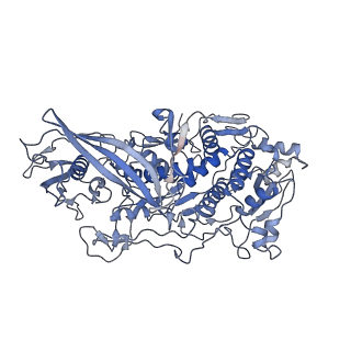 15189_8a5t_B_v1-0
Capsid structure of the L-A helper virus from native viral communities